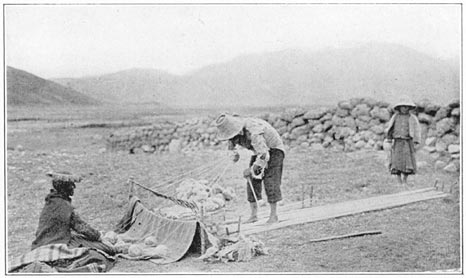 A Potato-field at La Raya