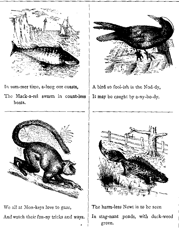 In Sum-mer Time, A-long Our Coasts. The Mack-a-rel Swarm in Count-less Hosts. 