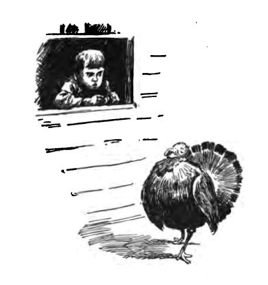 Boy Looking at a Turkey 