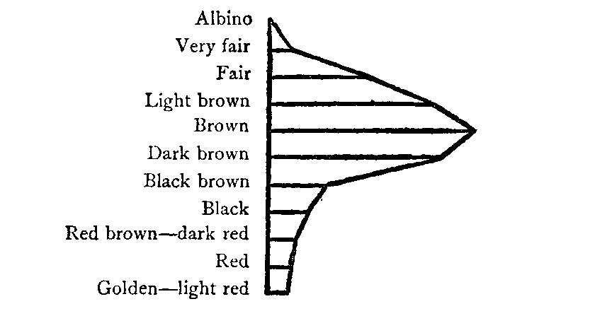 Sketch: Ogival curve of Hair Color Distribution