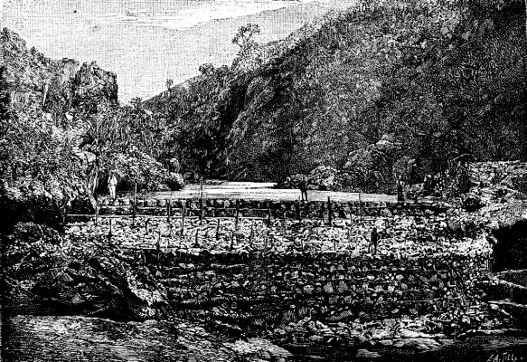  FIG. 1.—DAM ON THE RIBEIRAO INFERNO AT PORTATO DE FERRO.