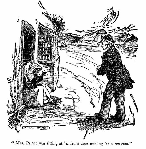 'mrs. Prince Was Sitting at 'er Front Door Nursing 'er Three Cats.' 