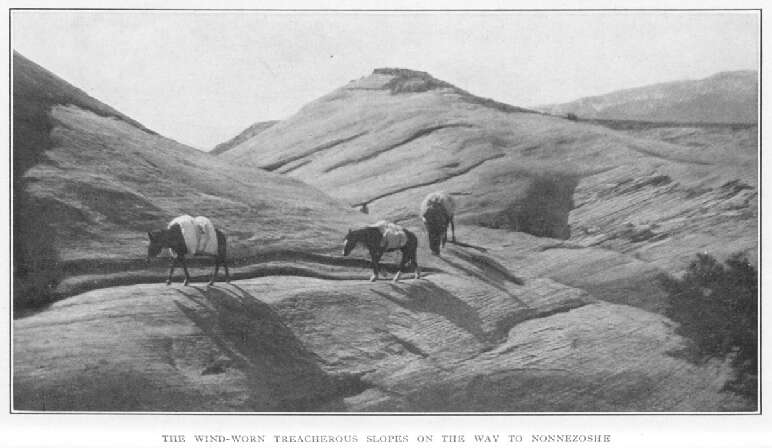 The Wind-worn Treacherous Slopes on the Way To Nonnezoshe 