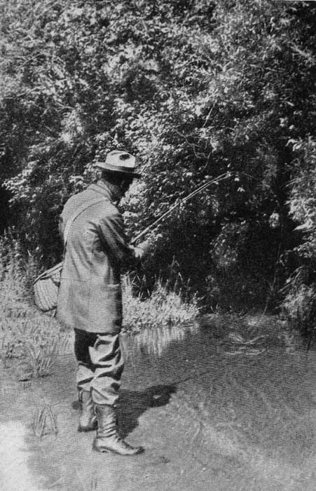 FISHING FOR BROOK TROUT