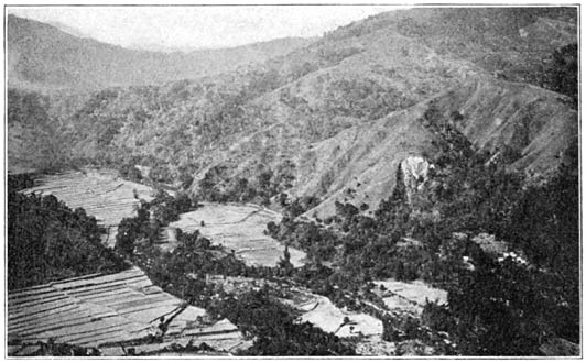 Rice terraces in the mountains