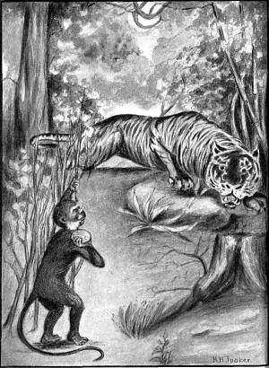 With all his might he threw the empty cocoanut shell right at the tiger's head. (Page 35) <i>Frontispiece</i>