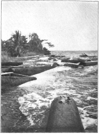 There, in the Surf, We Found These Tons of Mahogany, Pounding Against Each Other.