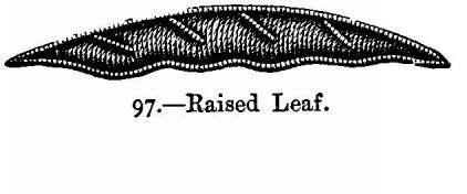 Raised Leaf.