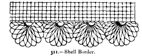 Shell Border.