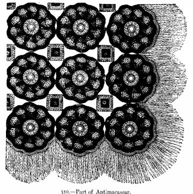 Part of Antimacassar.