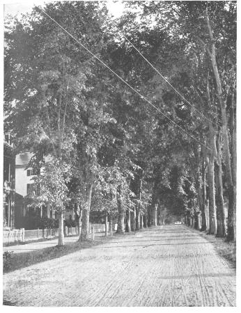 The Street Fronting the Sanborn Home at Hanover, N.H.