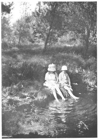 Paddling in Chicken Brook