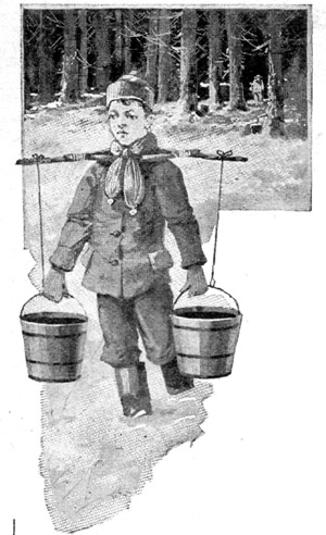 After each trip into the woods Roy would turn two brimming pails of sap into the big kettle.