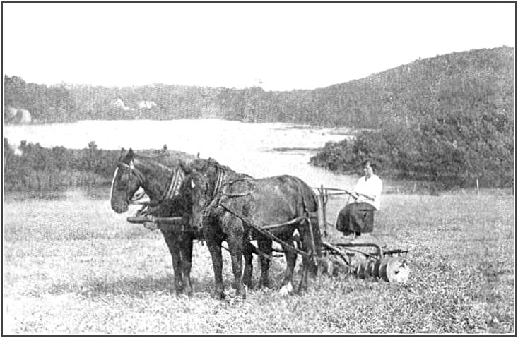 A youthful farmer