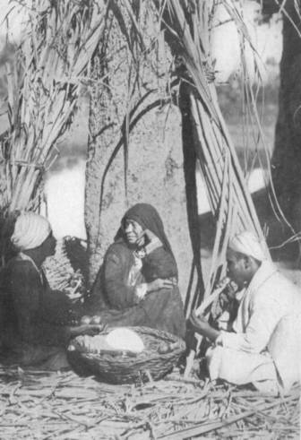 WOMAN SELLING SUGAR-CANE.