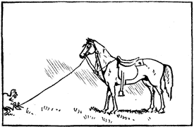 The Horse