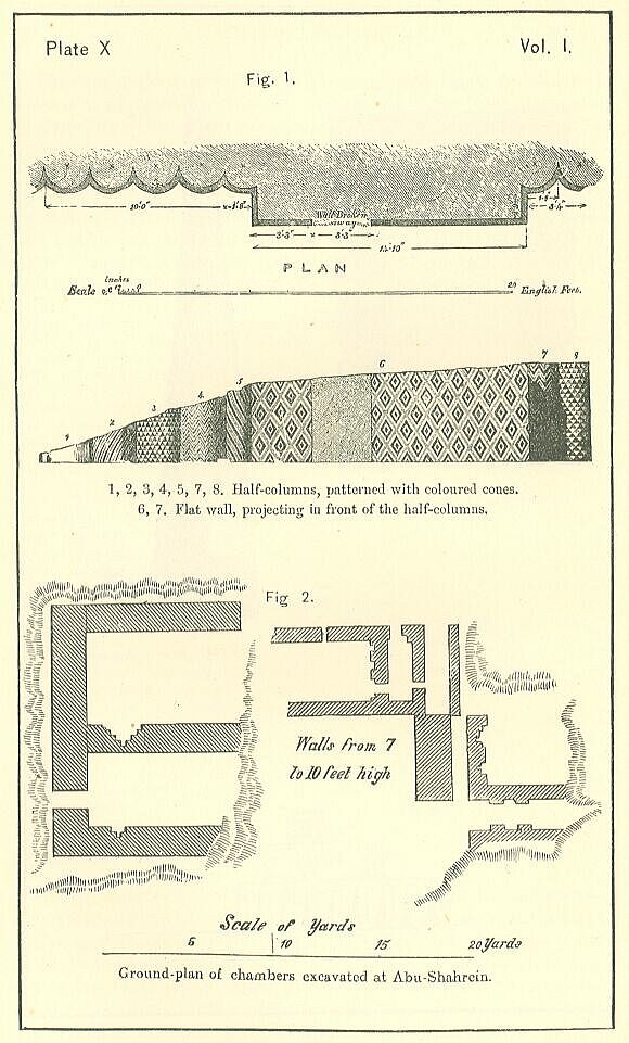 Plate 10 