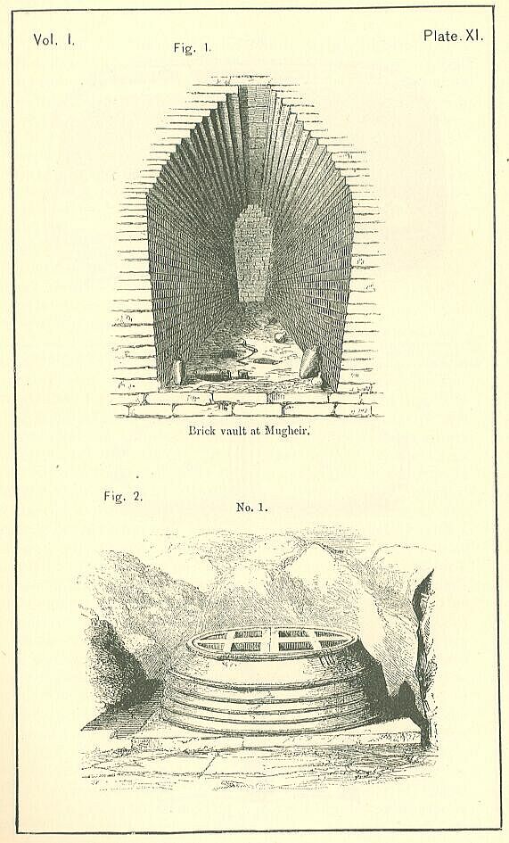 Plate 11 