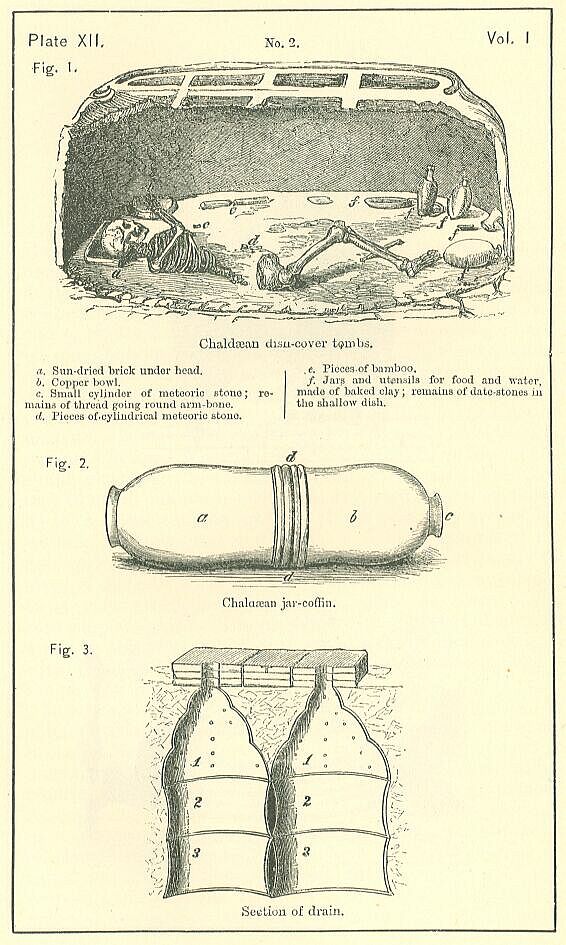 Plate 12 