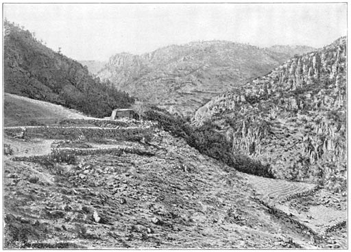 Tarahumare Ranch near Barranca de Cobre, showing agriculture on terraces.