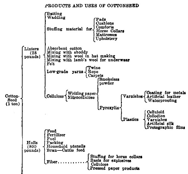 PRODUCTS AND USES OF COTTONSEED