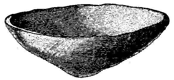 Fig. 541