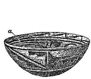 Fig. 545