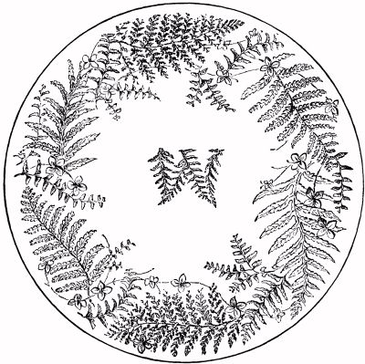 TABLE-TOP (NOVELTIES IN FERN-WORK)