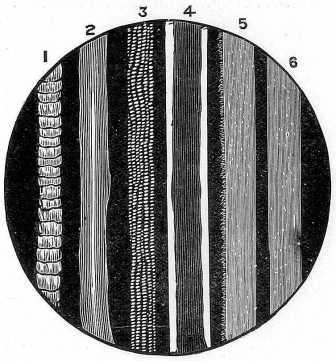 Fig. 15.