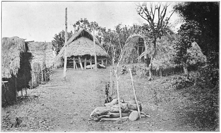 The Remains of a Chief’s Burial Platform which has Collapsed, and beneath which his Skull and Some of His Bones are interred Underground.