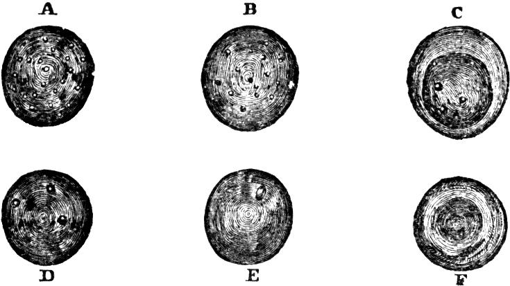 Illustration: Fig. 39. Development of human lymph and chyle-corpuscles into red corpuscles of blood. 