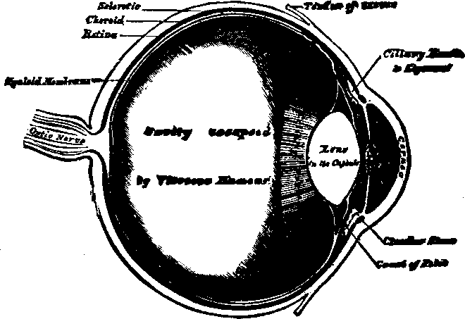 Illustration: Fig. 62.