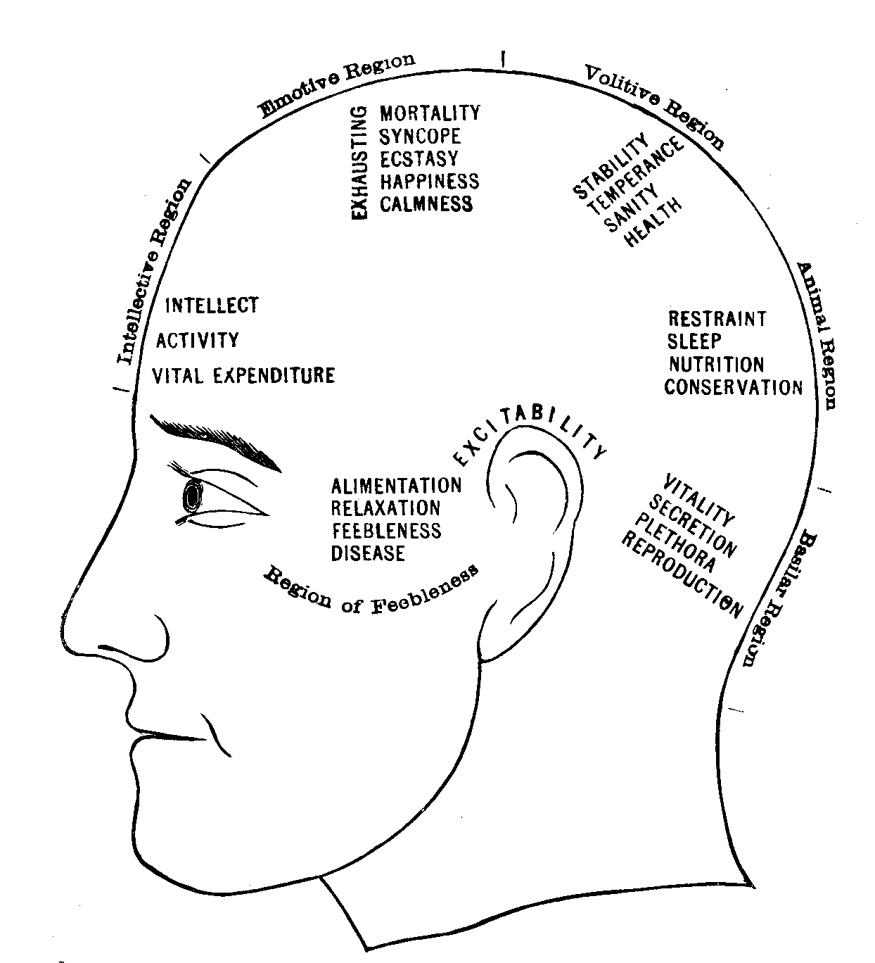 Illustration: Fig. 72.