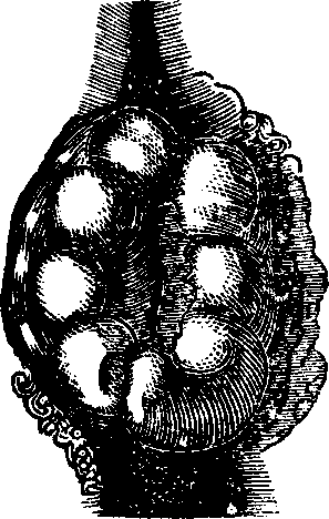 Illustration: Fig. 1. Swollen External Piles.