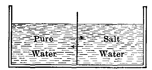 Fig. 31