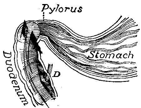 Fig. 70