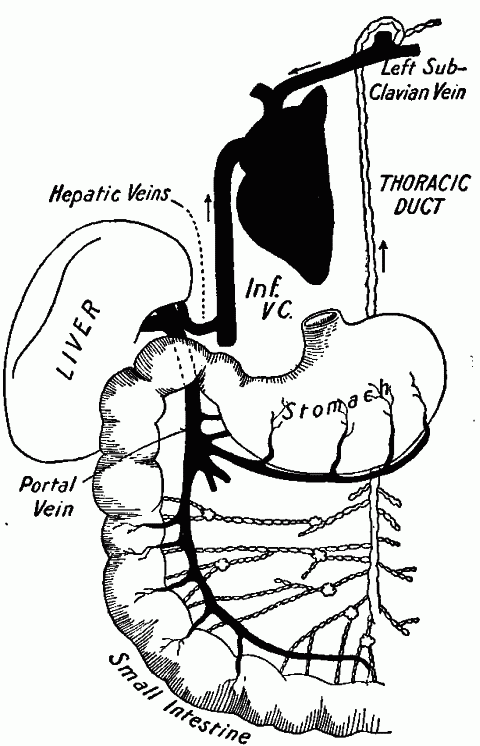 Fig. 77