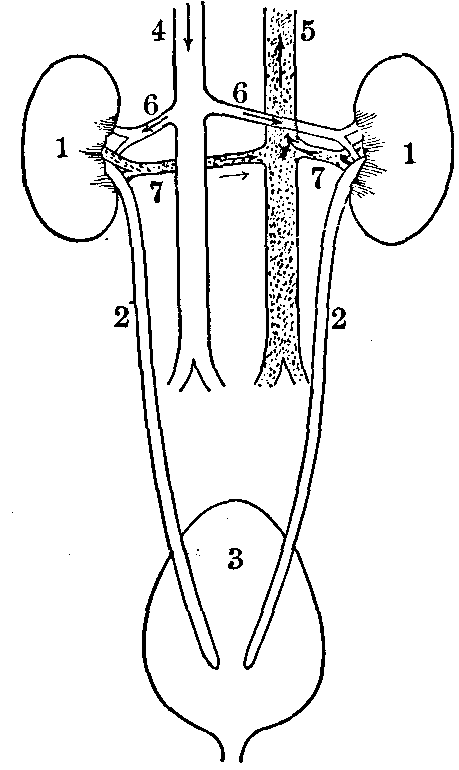 Fig. 87