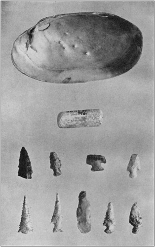 Plate 5: Bone And Antler Implements From Gourd Creek Cave