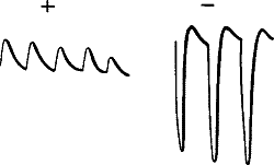 Fig. 27.—Abnormal Positive Responses in Stale Leaf-stalk of Turnip converted into Normal Negative under Strong Stimulation