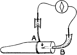 Fig. 29.—Radial E.M. Variation