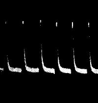 Fig. 59.—Uniform Responses in Tin