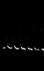 Fig. 70.—Fatigue in Platinum