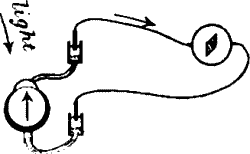 Fig. 95. Retinal Response To Light