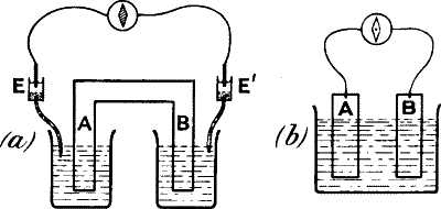 Fig. 98.—Modification of the Sensitive Cell