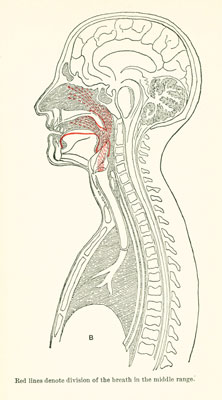 Plate B