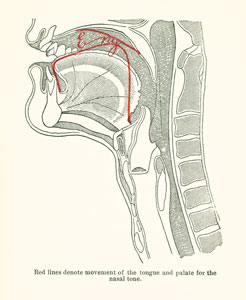 nasal tone