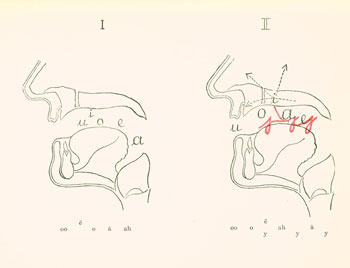 vowels