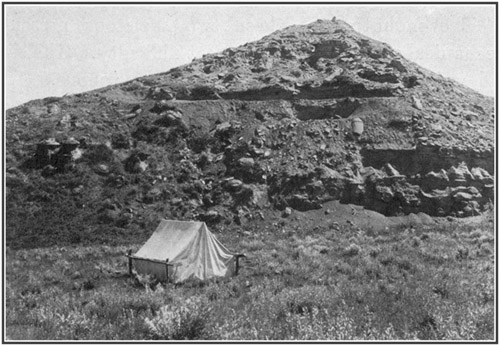 Fig. 14.: Quarry from which the Tyrannosaurus skeleton was taken. American Museum camp in foreground.