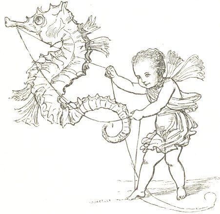 Boy and Hippocampus.  From Miss E. Keary’s “Magic Valley,” 1877.  Drawn by “E. V. B.” (Hon. Mrs. Boyle); engraved by T. Quartley